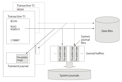 Figure: The DPS 10 recovery management system